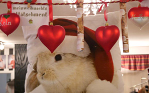 Adventskalender 2017